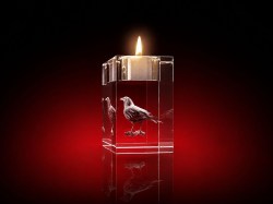 strahlend, LEDs, glasbild, geschenkidee, fotogeschenk, GLASFOTO.COM